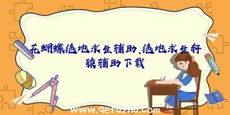 花蝴蝶绝地求生辅助、绝地求生轩辕辅助下载