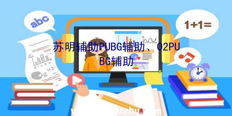 苏明辅助PUBG辅助、02PUBG辅助