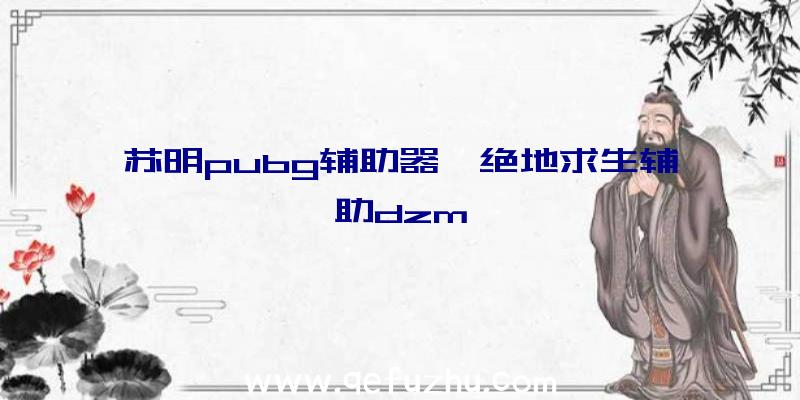 苏明pubg辅助器、绝地求生辅助dzm