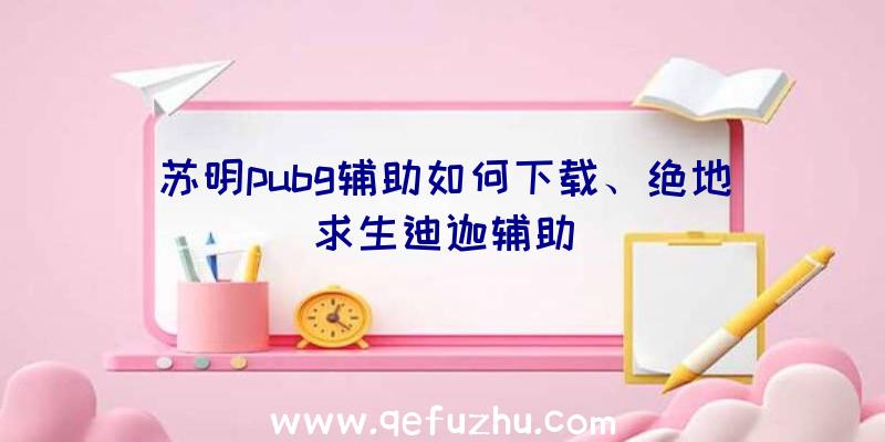 苏明pubg辅助如何下载、绝地求生迪迦辅助