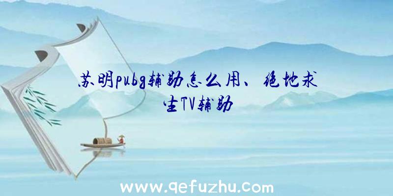 苏明pubg辅助怎么用、绝地求生TV辅助