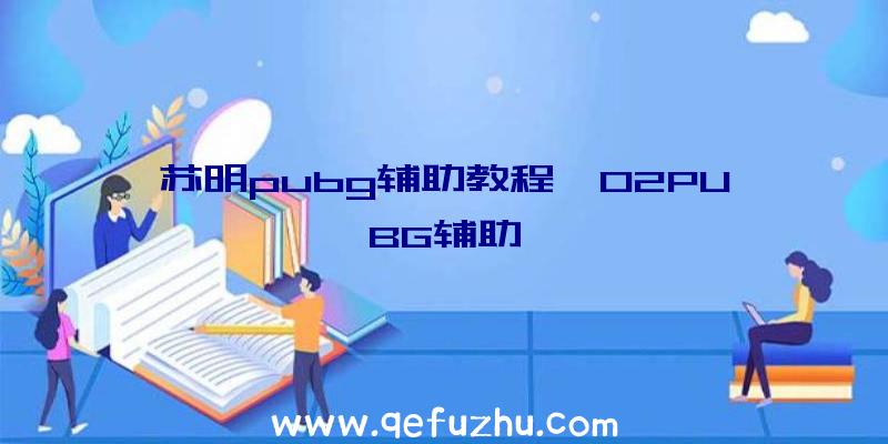 苏明pubg辅助教程、02PUBG辅助