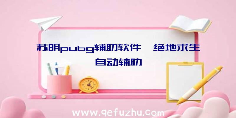 苏明pubg辅助软件、绝地求生自动辅助