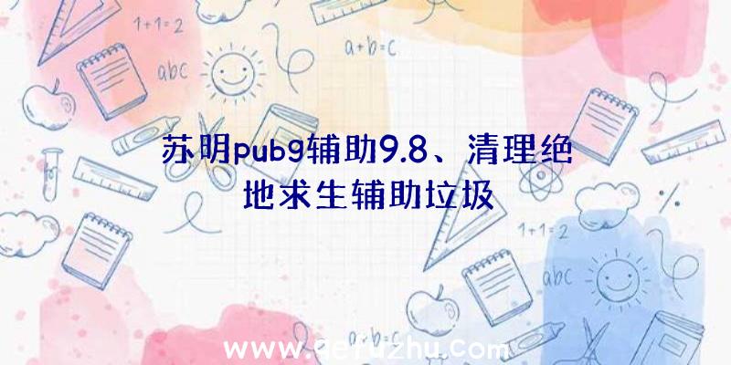 苏明pubg辅助9.8、清理绝地求生辅助垃圾