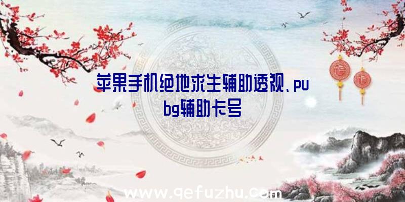 苹果手机绝地求生辅助透视、pubg辅助卡号