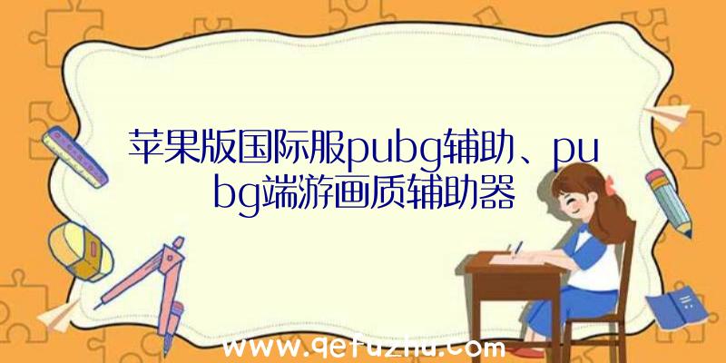 苹果版国际服pubg辅助、pubg端游画质辅助器