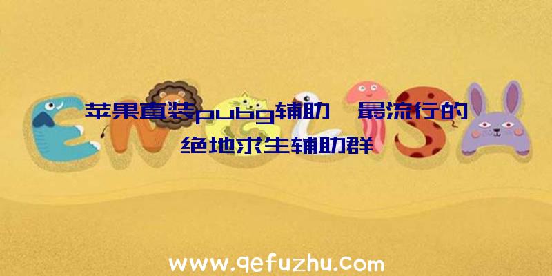 苹果直装pubg辅助、最流行的绝地求生辅助群