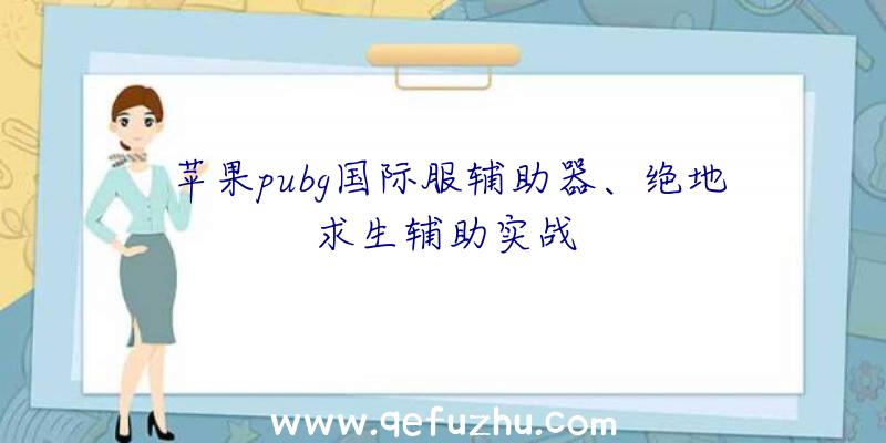 苹果pubg国际服辅助器、绝地求生辅助实战