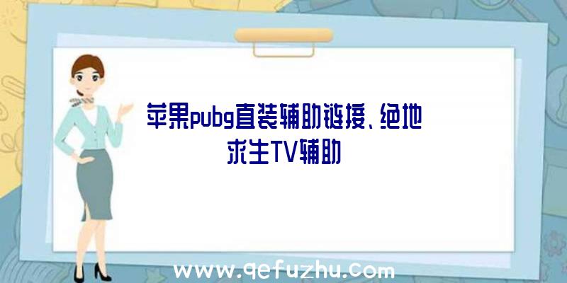 苹果pubg直装辅助链接、绝地求生TV辅助