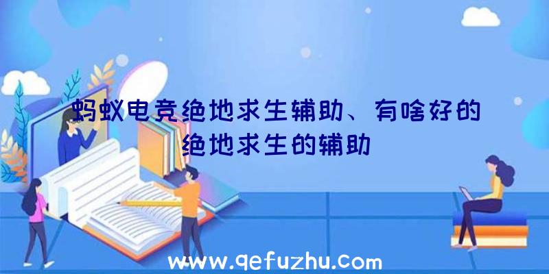 蚂蚁电竞绝地求生辅助、有啥好的绝地求生的辅助