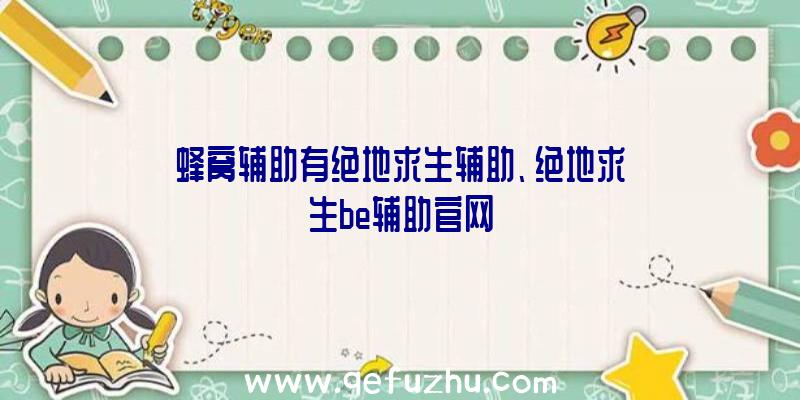 蜂窝辅助有绝地求生辅助、绝地求生be辅助官网