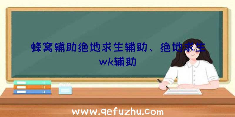 蜂窝辅助绝地求生辅助、绝地求生wk辅助