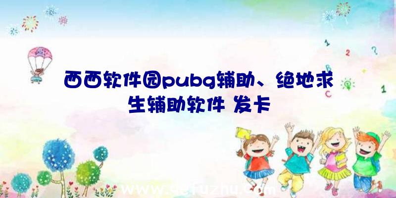 西西软件园pubg辅助、绝地求生辅助软件