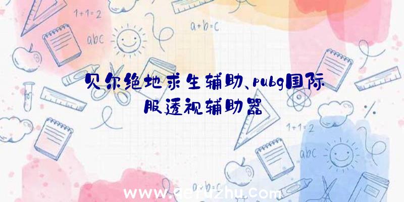 贝尔绝地求生辅助、pubg国际服透视辅助器