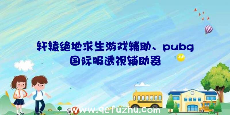 轩辕绝地求生游戏辅助、pubg国际服透视辅助器