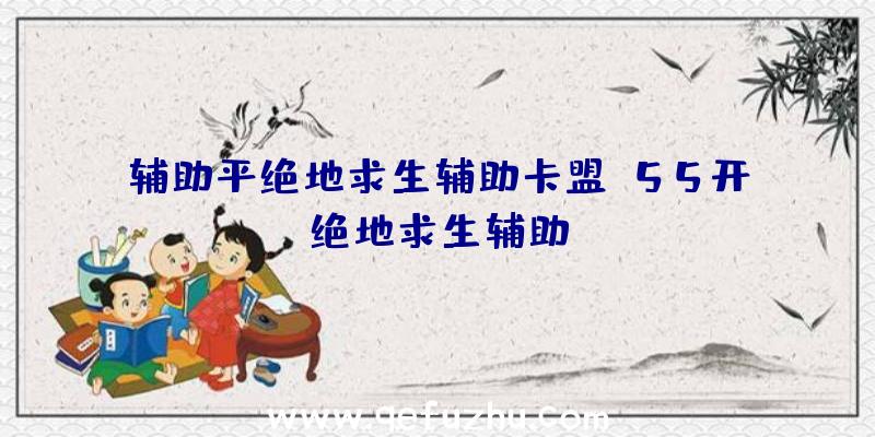 辅助平绝地求生辅助卡盟、55开绝地求生辅助