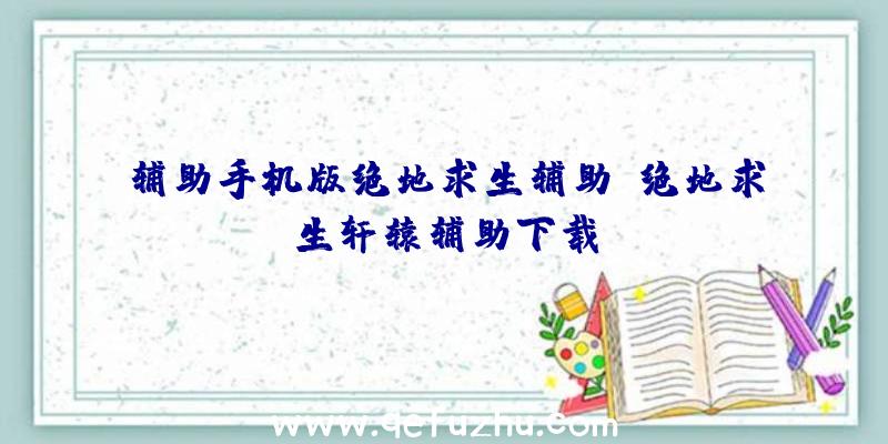 辅助手机版绝地求生辅助、绝地求生轩辕辅助下载