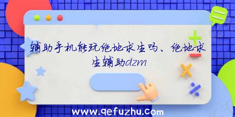 辅助手机能玩绝地求生吗、绝地求生辅助dzm