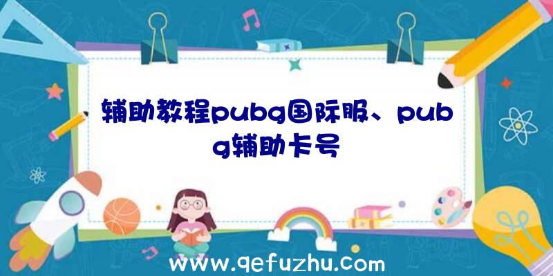 辅助教程pubg国际服、pubg辅助卡号