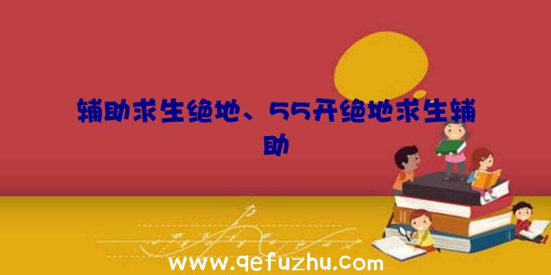 辅助求生绝地、55开绝地求生辅助