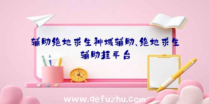 辅助绝地求生神域辅助、绝地求生辅助挂平台