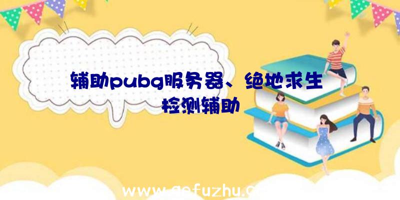 辅助pubg服务器、绝地求生