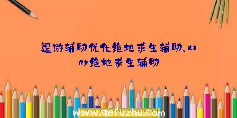 逗游辅助优化绝地求生辅助、xray绝地求生辅助