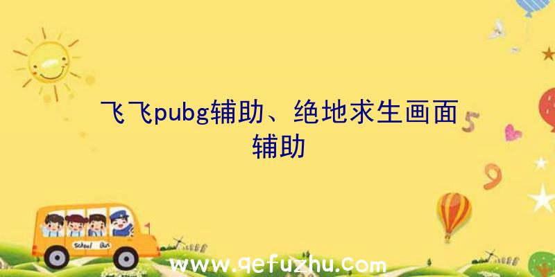 飞飞pubg辅助、绝地求生画面辅助