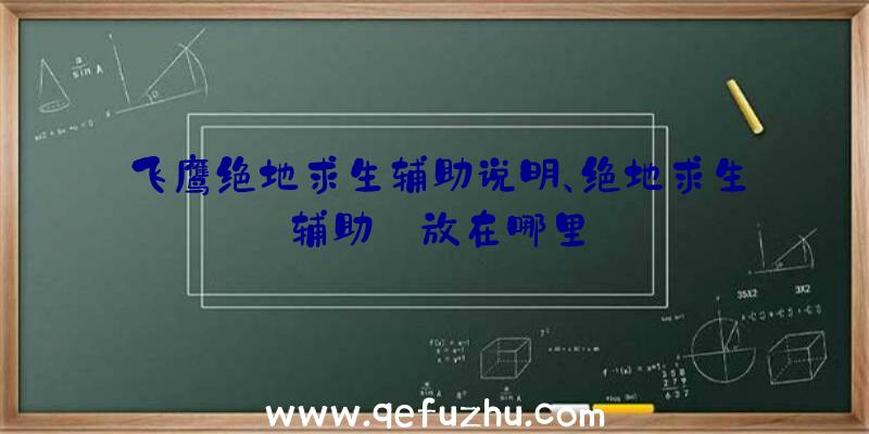 飞鹰绝地求生辅助说明、绝地求生辅助