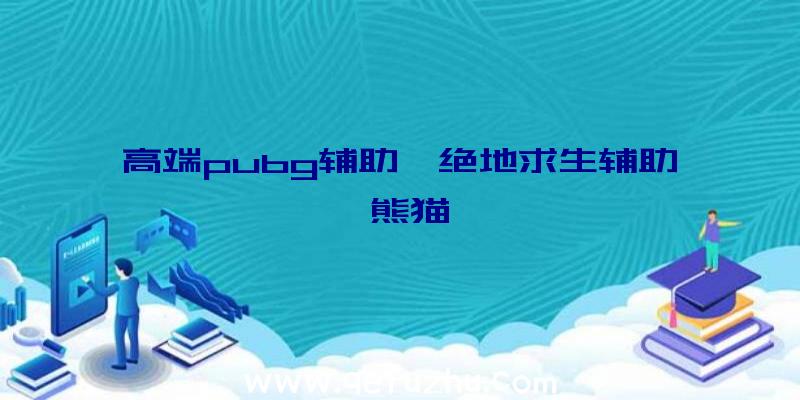 高端pubg辅助、绝地求生辅助