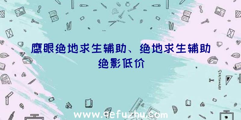 鹰眼绝地求生辅助、绝地求生辅助绝影低价