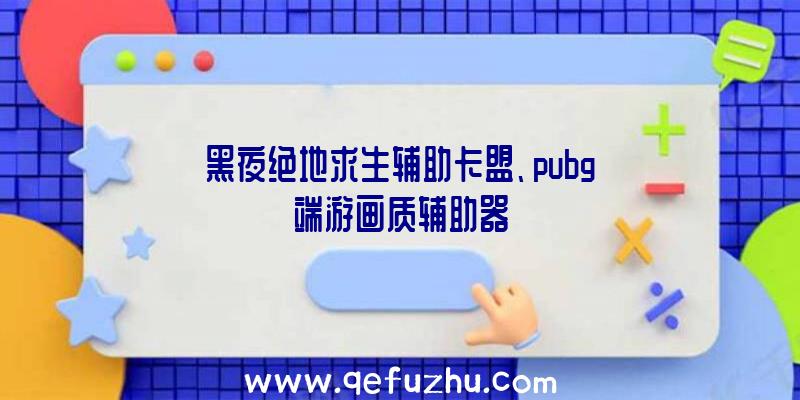 黑夜绝地求生辅助卡盟、pubg端游画质辅助器