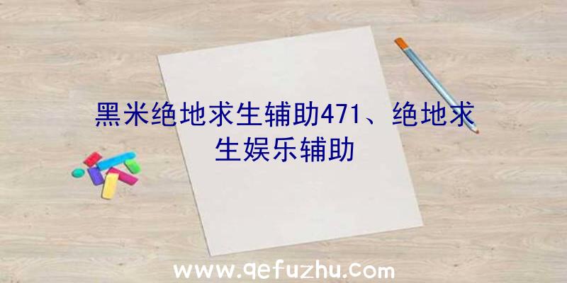 黑米绝地求生辅助471、绝地求生娱乐辅助