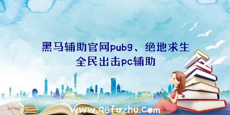 黑马辅助官网pubg、绝地求生全民出击pc辅助