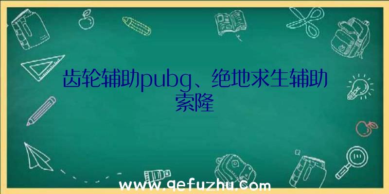 齿轮辅助pubg、绝地求生辅助索隆