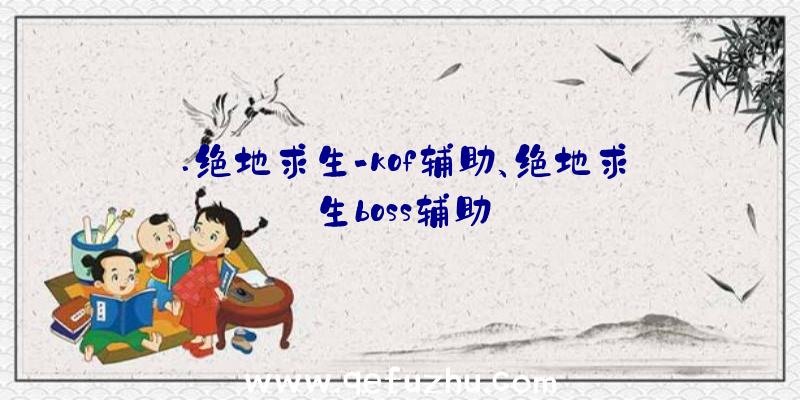 .绝地求生-kof辅助、绝地求生boss辅助