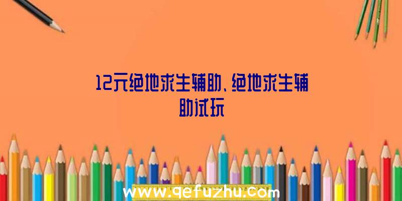 12元绝地求生辅助、绝地求生辅助试玩