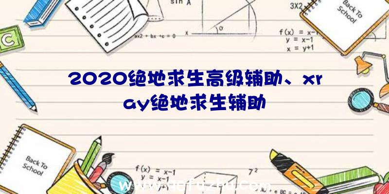 2020绝地求生高级辅助、xray绝地求生辅助