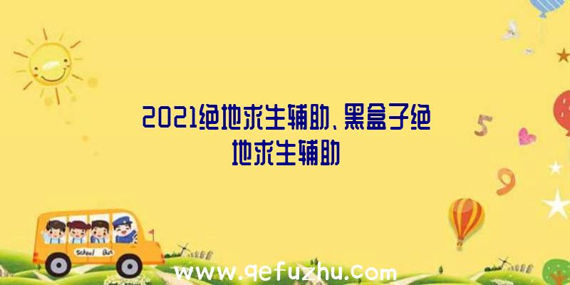 2021绝地求生辅助、黑盒子绝地求生辅助