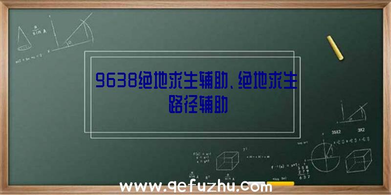 9638绝地求生辅助、绝地求生