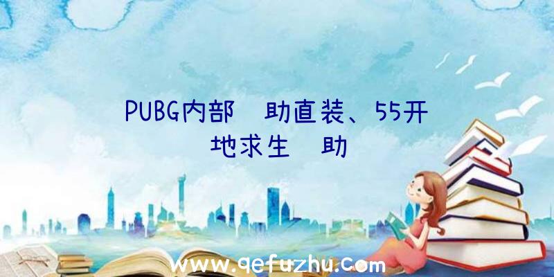 PUBG内部辅助直装、55开绝地求生辅助