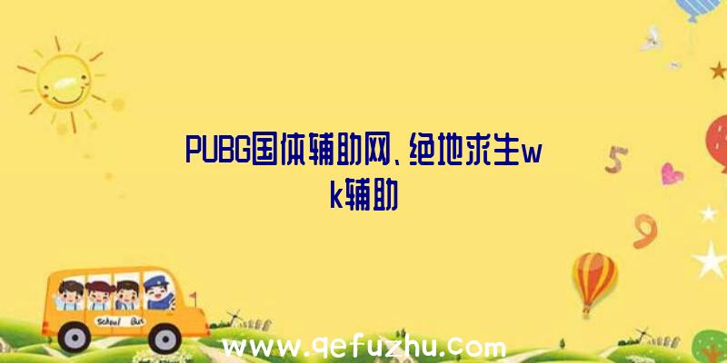 PUBG国体辅助网、绝地求生wk辅助