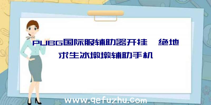 PUBG国际服辅助器开挂、绝地求生冰墩墩辅助手机