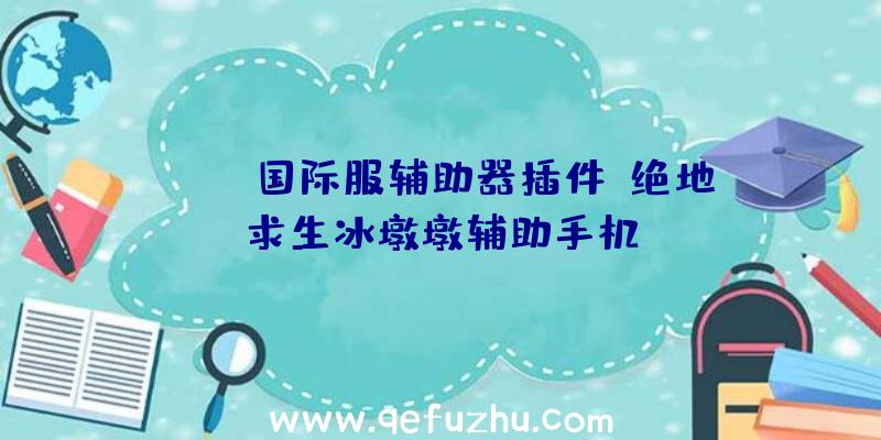 PUBG国际服辅助器插件、绝地求生冰墩墩辅助手机