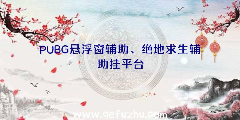 PUBG悬浮窗辅助、绝地求生辅助挂平台