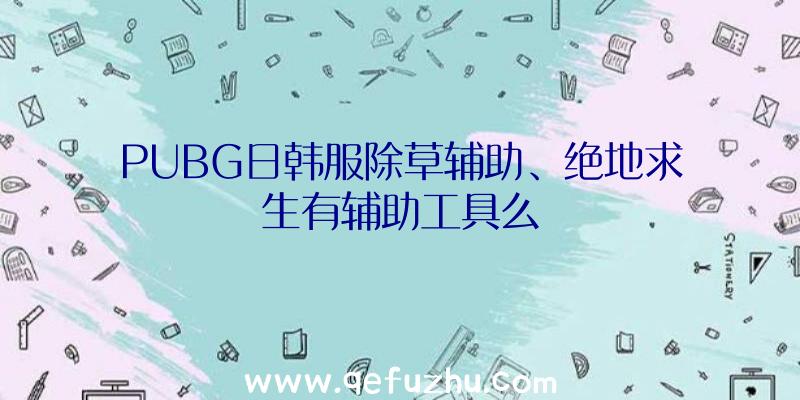 PUBG日韩服除草辅助、绝地求生有辅助工具么