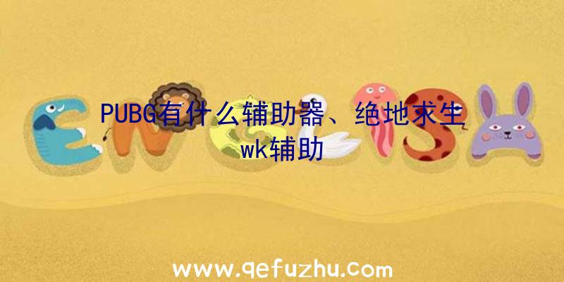 PUBG有什么辅助器、绝地求生wk辅助