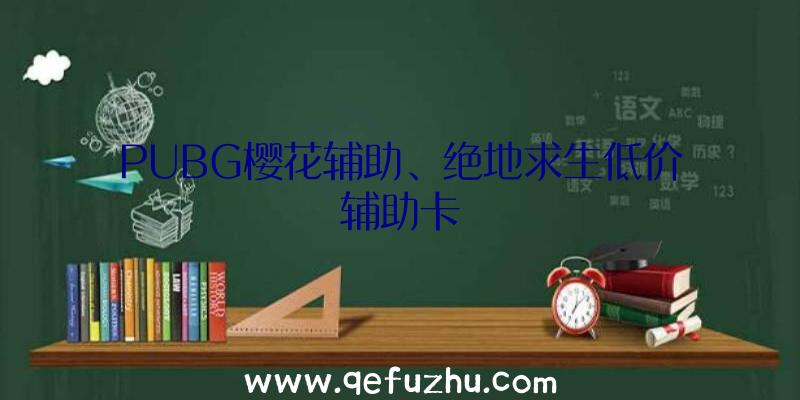 PUBG樱花辅助、绝地求生低价辅助卡