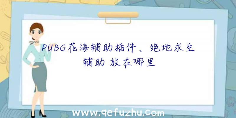 PUBG花海辅助插件、绝地求生辅助