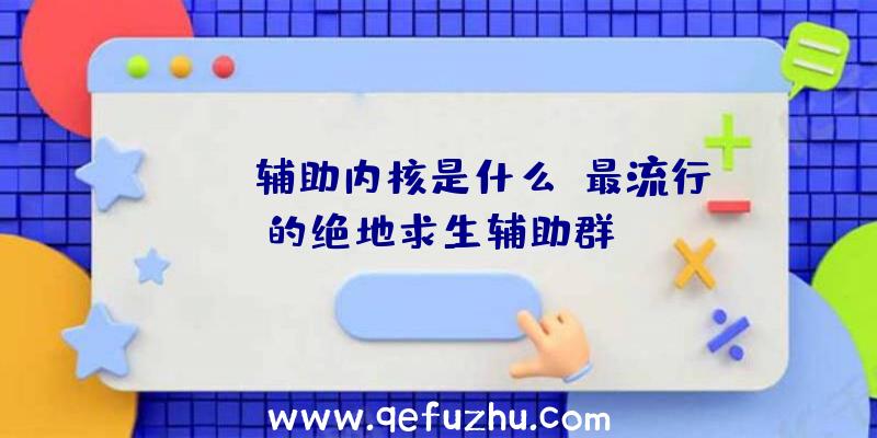 PUBG辅助内核是什么、最流行的绝地求生辅助群